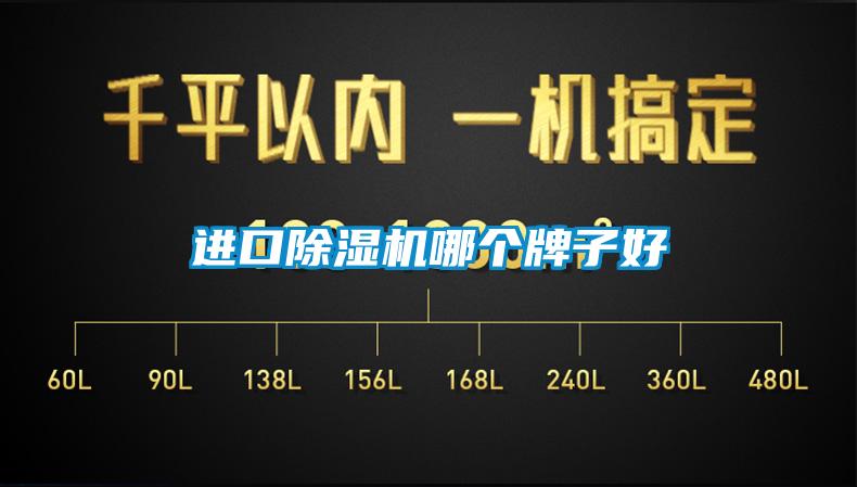 進(jìn)口除濕機哪個(gè)牌子好