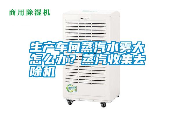 生產(chǎn)車(chē)間蒸汽水霧大怎么辦？蒸汽收集去除機