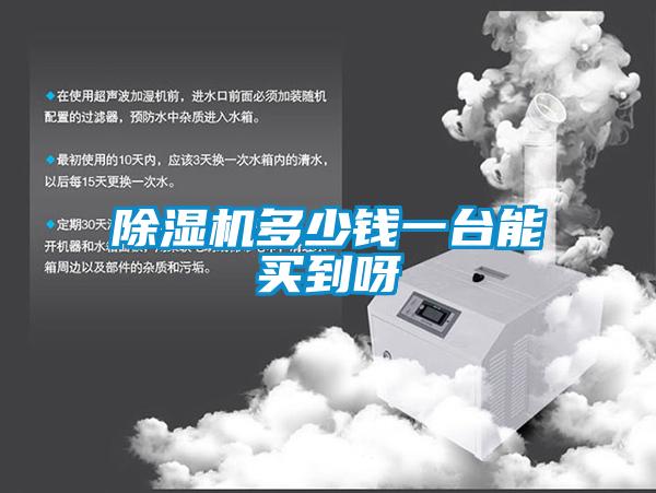 除濕機多少錢(qián)一臺能買(mǎi)到呀