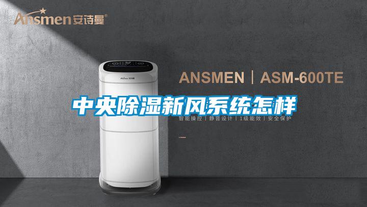 中央除濕新風(fēng)系統怎樣