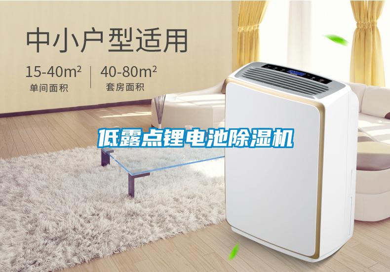 低露點(diǎn)鋰電池除濕機