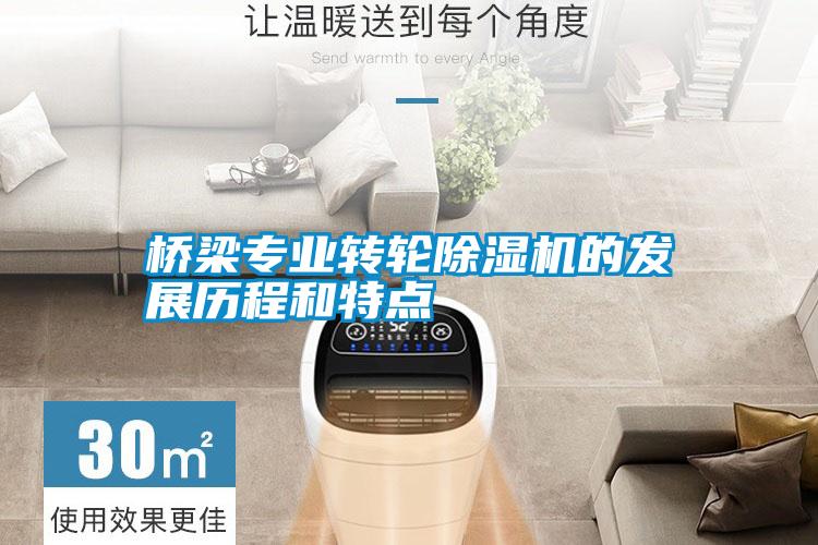 橋梁專(zhuān)業(yè)轉輪除濕機的發(fā)展歷程和特點(diǎn)