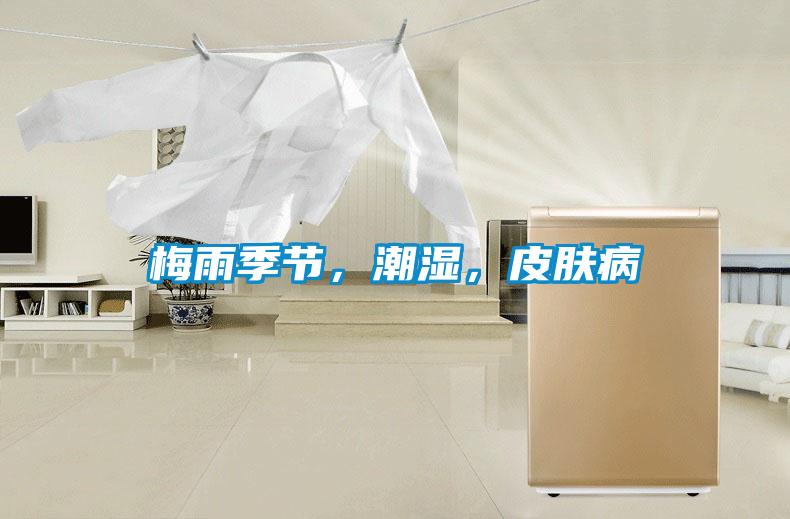 梅雨季節，潮濕，皮膚病