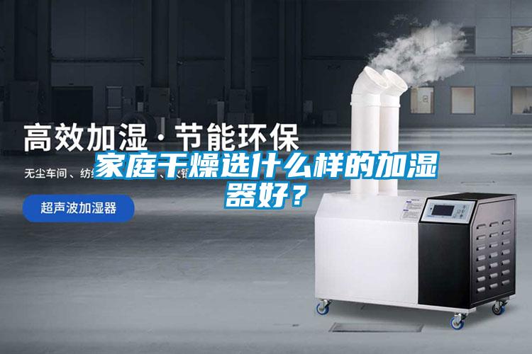 家庭干燥選什么樣的加濕器好？