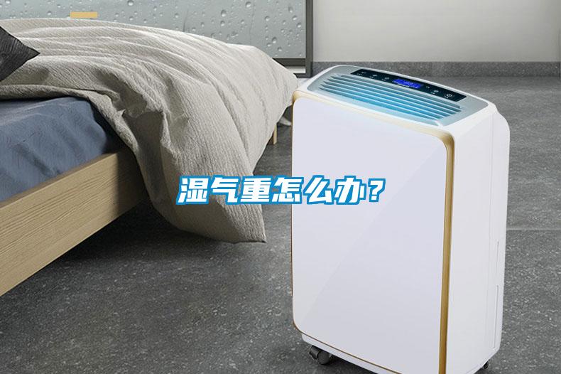 濕氣重怎么辦？