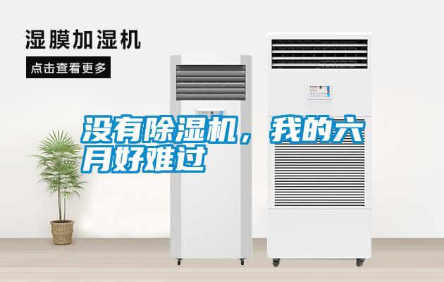 沒(méi)有除濕機，我的六月好難過(guò)