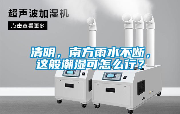 清明，南方雨水不斷，這般潮濕可怎么行？