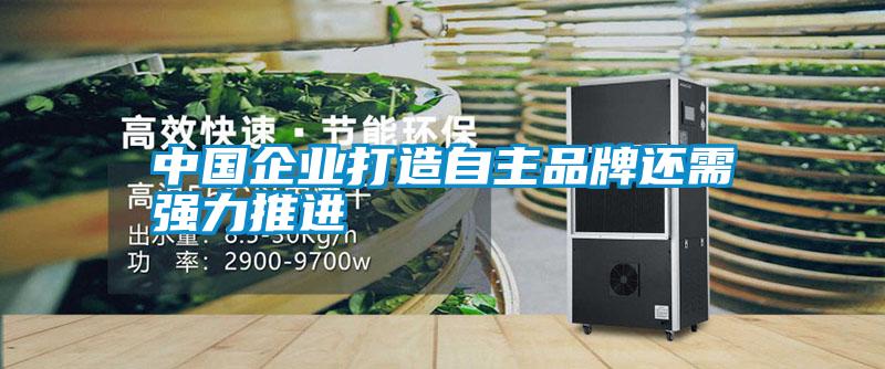 中國企業(yè)打造自主品牌還需強力推進(jìn)