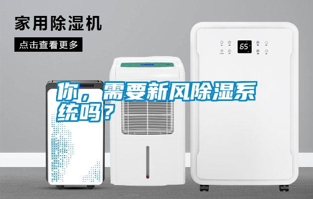你，需要新風(fēng)除濕系統嗎？