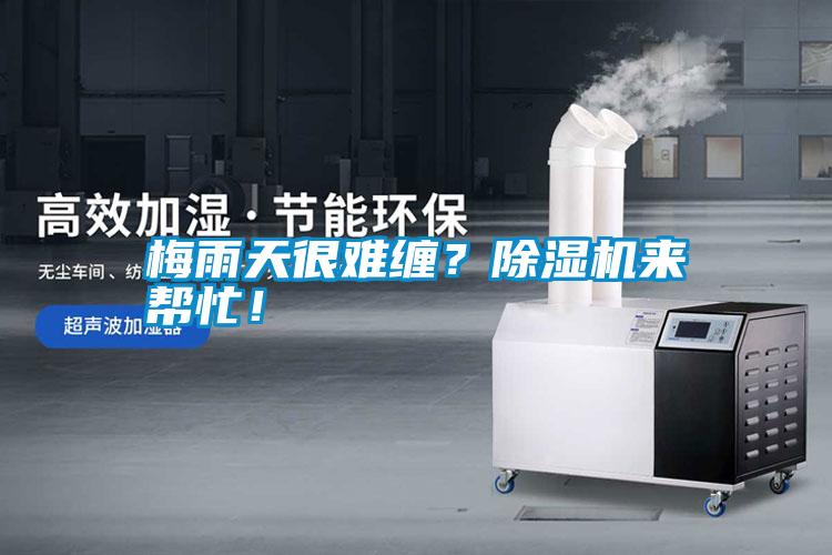 梅雨天很難纏？除濕機來(lái)幫忙！