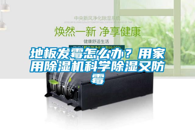 地板發(fā)霉怎么辦？用家用除濕機科學(xué)除濕又防霉