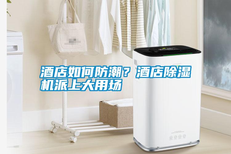 酒店如何防潮？酒店除濕機派上大用場(chǎng)
