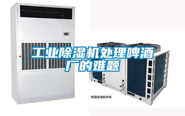 工業(yè)除濕機處理啤酒廠(chǎng)的難題