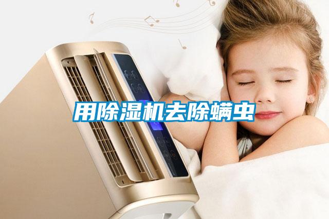 用除濕機去除螨蟲(chóng)