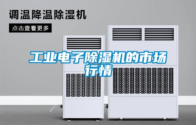 工業(yè)電子除濕機的市場(chǎng)行情