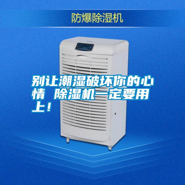 別讓潮濕破壞你的心情 除濕機一定要用上！