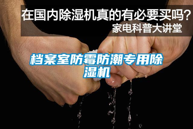 檔案室防霉防潮專(zhuān)用除濕機