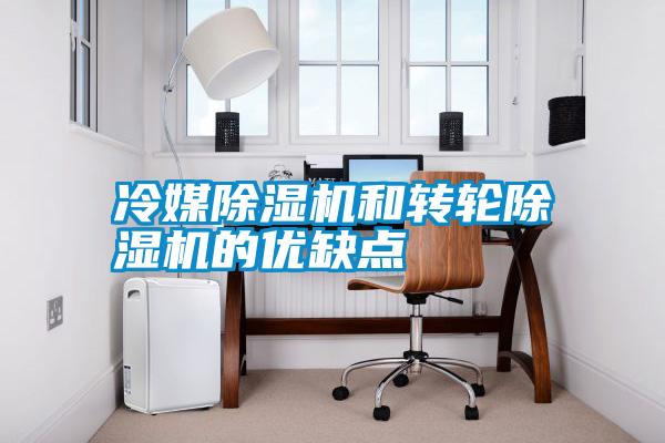冷媒除濕機和轉輪除濕機的優(yōu)缺點(diǎn)