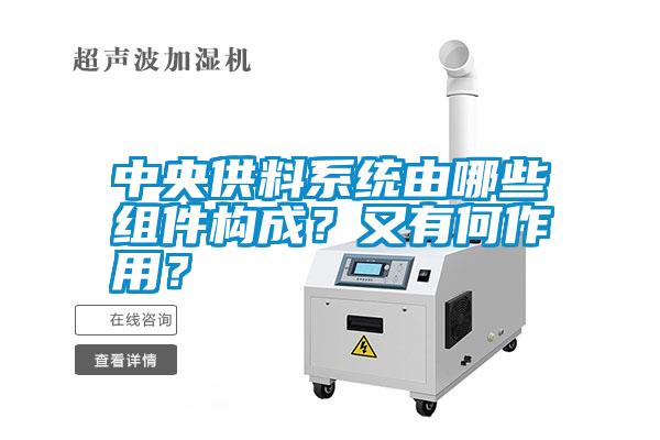 中央供料系統由哪些組件構成？又有何作用？