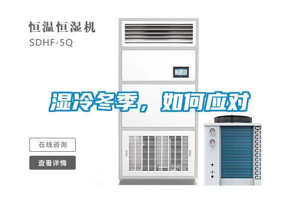 濕冷冬季，如何應對