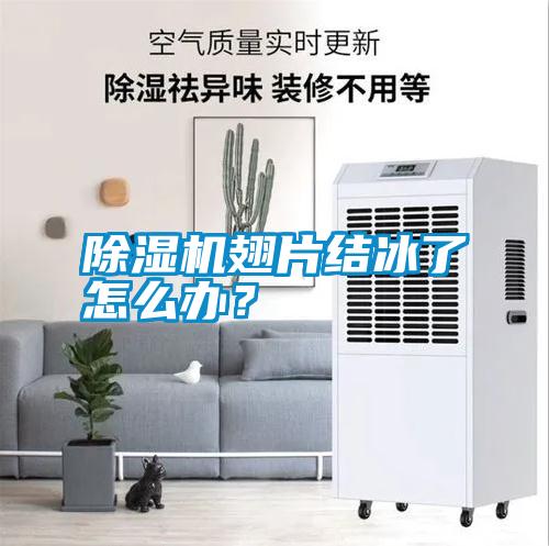 除濕機翅片結冰了怎么辦？