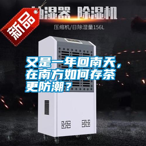 又是一年回南天，在南方如何存茶更防潮？