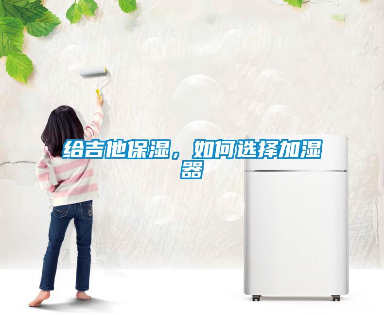 給吉他保濕，如何選擇加濕器