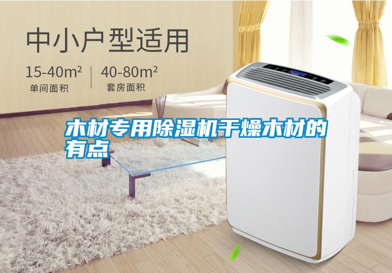 木材專(zhuān)用除濕機干燥木材的有點(diǎn)