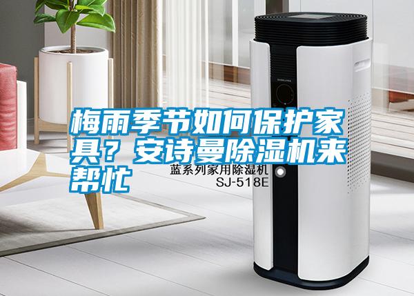 梅雨季節如何保護家具？安詩(shī)曼除濕機來(lái)幫忙