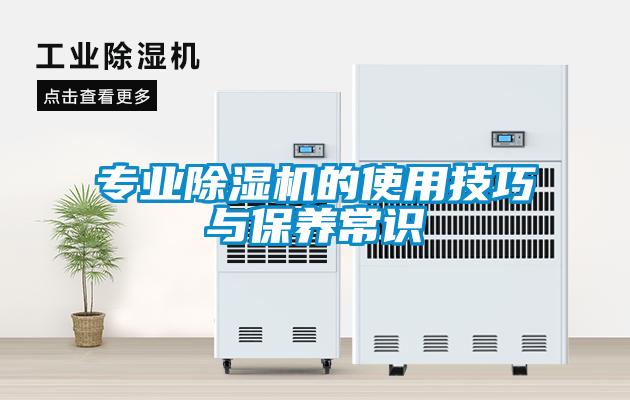 專(zhuān)業(yè)除濕機的使用技巧與保養常識