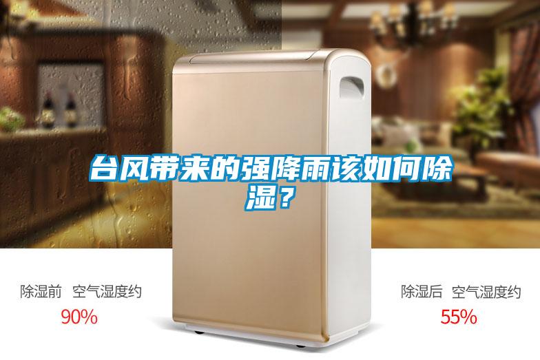 臺風(fēng)帶來(lái)的強降雨該如何除濕？