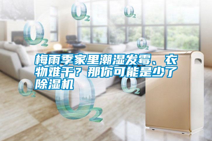 梅雨季家里潮濕發(fā)霉、衣物難干？那你可能是少了除濕機