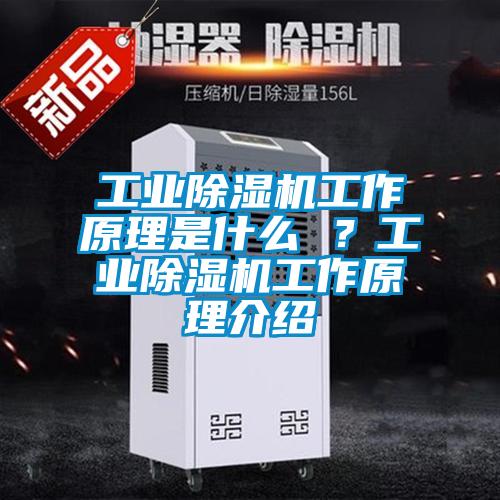 工業(yè)除濕機工作原理是什么 ？工業(yè)除濕機工作原理介紹