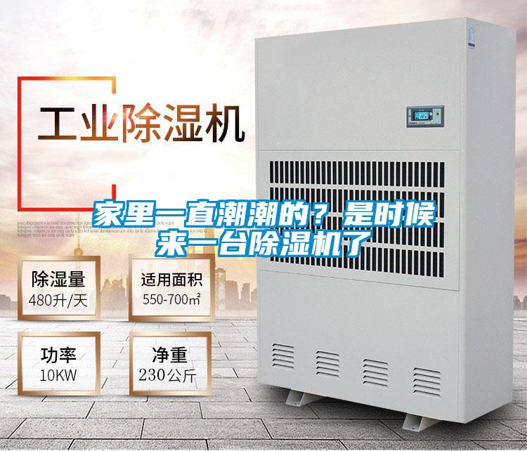 家里一直潮潮的？是時(shí)候來(lái)一臺除濕機了