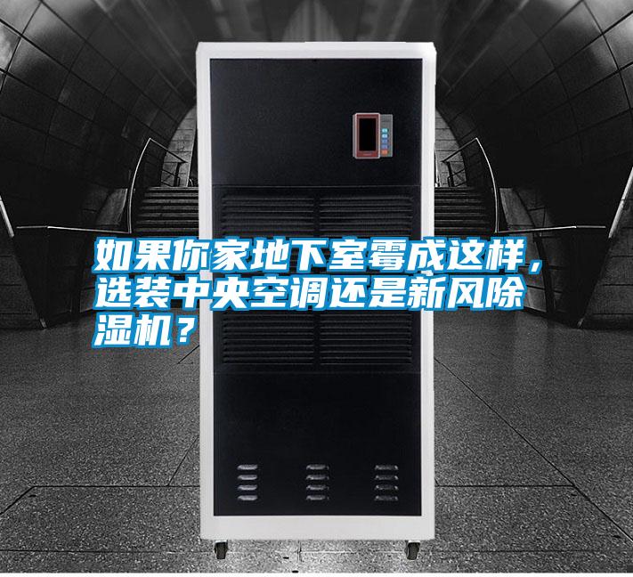 如果你家地下室霉成這樣，選裝中央空調還是新風(fēng)除濕機？