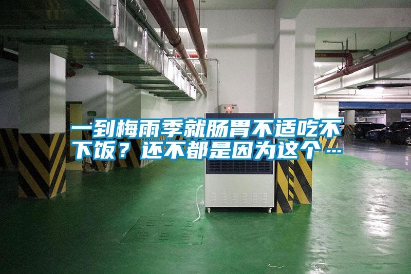 一到梅雨季就腸胃不適吃不下飯？還不都是因為這個(gè)…