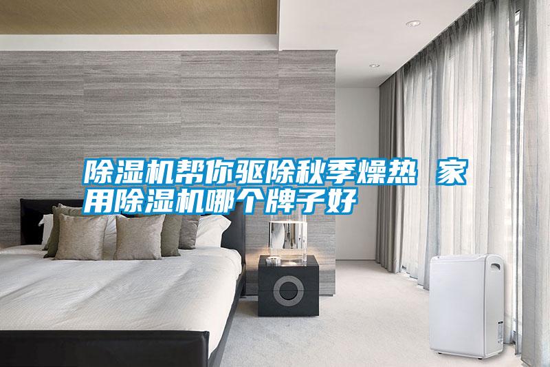 除濕機幫你驅除秋季燥熱 家用除濕機哪個(gè)牌子好