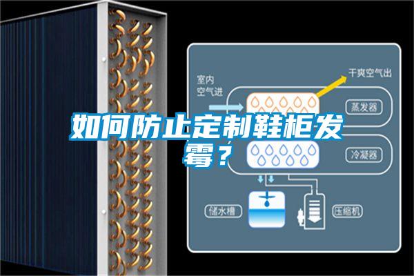如何防止定制鞋柜發(fā)霉？