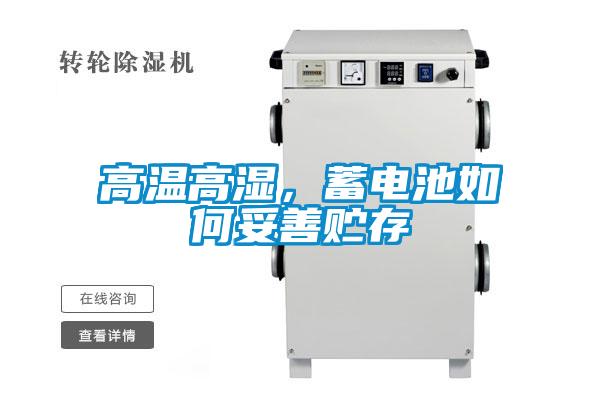 高溫高濕，蓄電池如何妥善貯存