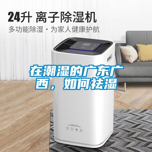 在潮濕的廣東廣西，如何祛濕
