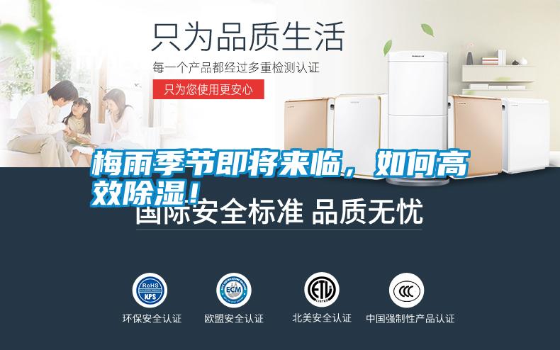 梅雨季節即將來(lái)臨，如何高效除濕！