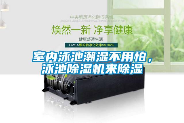 室內泳池潮濕不用怕，泳池除濕機來(lái)除濕