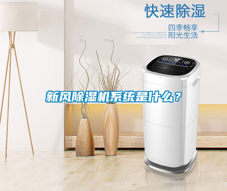 新風(fēng)除濕機系統是什么？