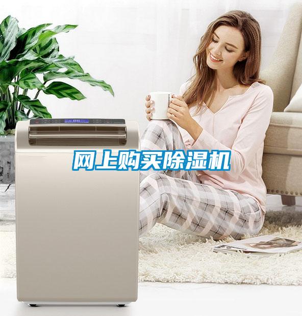 網(wǎng)上購買(mǎi)除濕機