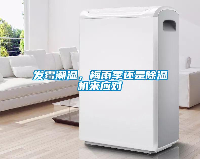 發(fā)霉潮濕，梅雨季還是除濕機來(lái)應對