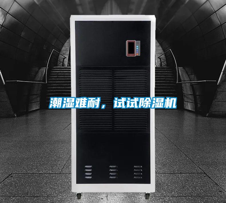 潮濕難耐，試試除濕機