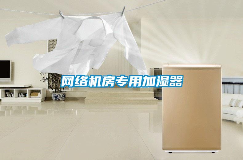 網(wǎng)絡(luò )機房專(zhuān)用加濕器