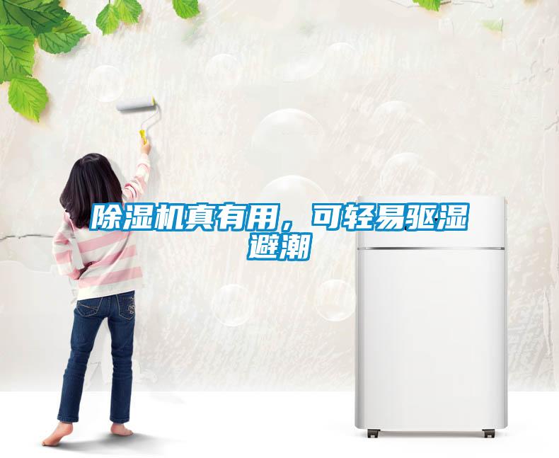 除濕機真有用，可輕易驅濕避潮
