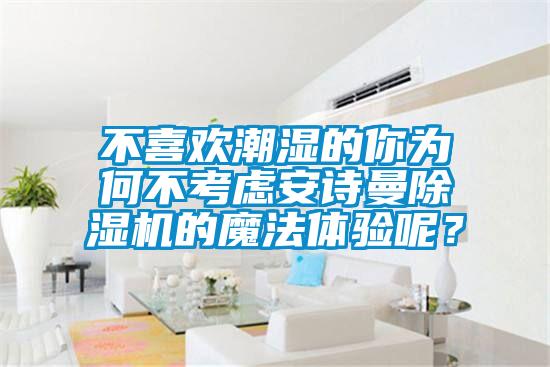 不喜歡潮濕的你為何不考慮安詩(shī)曼除濕機的魔法體驗呢？