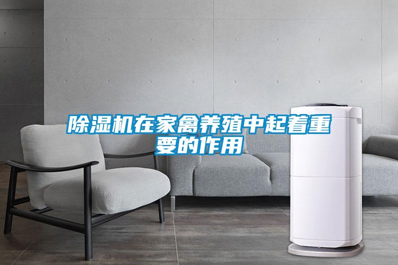 除濕機在家禽養殖中起著(zhù)重要的作用